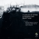 Bogdan Elin & 3 Colours of White - Berlin Wall (Tech D Remix)