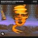 Shaun Frank & Hunter Siegel ft. Roshin - Shapes (Styline Remix)