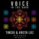 Timsek & Krista Liez - Voice In The Dark