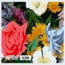 Imprint - Bloom