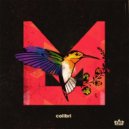 Morillo - Humming Bird