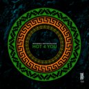 Mr.Diamond & Cristhian Balcazar - Hot 4 You (Original Mix)