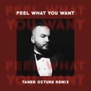 Phonique Feat. Rebecca - Feel What You Want (Taner Ozturk Remix) ()