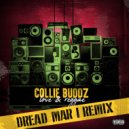 Collie Buddz & Dread Mar I - Love & Reggae