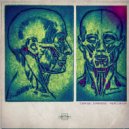 Simbiose - Synergia