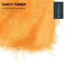 Harvy Turner - Mysterious Meanings