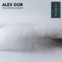 Alex Gor - The Attention Seeker