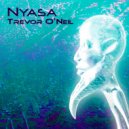 Trevor O'Neil - Swazifunk