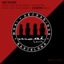 Uri Mood - What\'S That Thing Called? (CASSIMM Remix)