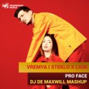 Vremya i Steklo x Lion - Pro Face (DJ De Maxwill Mashup)