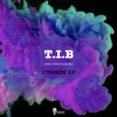 T.I.B & Pierre Johnson - City Of Zerzura (feat. Pierre Johnson) ()