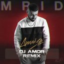 MriD - Дикий яд (Dj Amor Remix)