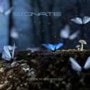 Signate - Sifting