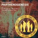 Juan Ibanez - Parthenogenesis (Vocal Mix)