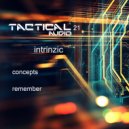 intrinzic - remember (Original Mix)