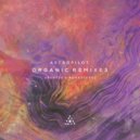 Astropilot - Sunbeam Flowers ()