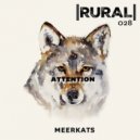 Meerkats - Attention