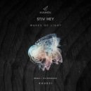 Stiv Hey - Waves of Light
