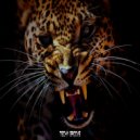 Nacim Ladj - Cheetah