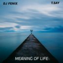 DJ Fenix & T.Say - Meaning of Life (feat. T.Say)