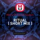 Micro Dj Sound System - Ritual