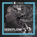 Seekflow - Fantastic