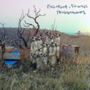 Kindzadza & Paralocks & Twisted Kala & Modusmagus - Sadzvuka (Original Mix)