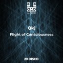 Qkj - Flight of Consciousness
