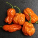 ThPranksta - 5Habaneros ()