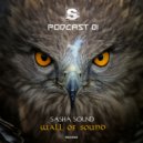 Sasha Sound - Wall Of Sound (Podcast 01)
