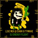 Dj Energy Flight - Live @ Ёжик В Тумане