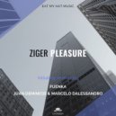 Ziger - Pleasure