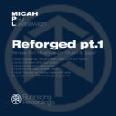 Micah Paul Lukasewich - Far Far Away (Moosefly Remix)