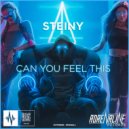 Steiny - Can You Feel This