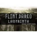Flint.Darko - Labyrinth