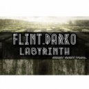 Flint.Darko - Labyrinth (Original Mix)