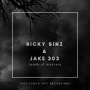 Ricky Sinz & Jake 303 - Levels of madness