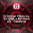 Criminal Vibes vs. DJ DNK x Kirillich - Calabria