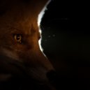 AlisianFox - The Night Caller ()