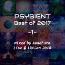 Avadhuta - Psybient: Best of 2017, Vol.1 (Live @ iXtlan 2018)