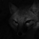 AlisiaFox - TimeToFly
