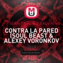 Sean Paul & J Balvin - Contra La Pared