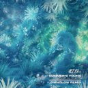 PLS&TY - Summer\'s Young (Ownglow Remix)