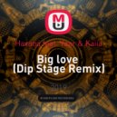 Havana feat. Yaar & Kaiia - Big love (Dip Stage Remix)
