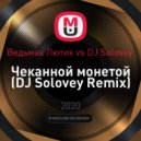Ведьмак Лютик vs DJ Solovey - Чеканной монетой (DJ Solovey Remix)