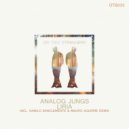 Analog Jungs - Liria