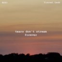 EZZI & Yisroel Laub - tears don\'t stream forever ()