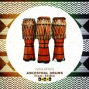 Ivan Afro5 - Ancestral Drums