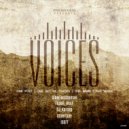 DJ Karcep - Voices