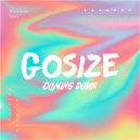 Gosize - Coming Down (Original Mix)